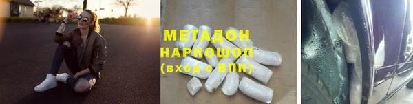 сатива Новокубанск