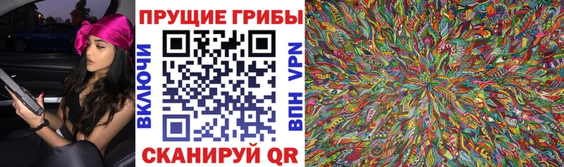 МЕГА маркетплейс  где можно купить   Заполярный  Галлюциногенные грибы мухоморы 